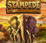 Stampede