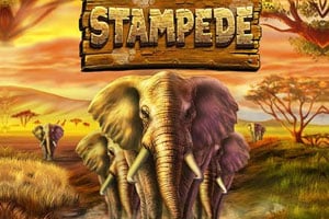 Stampede Slot Logo