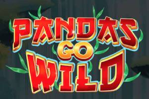 Pandas Go Wild Online Slot Game