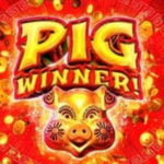 Pig Winner