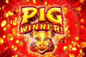 Pig Winner Online Slot Game