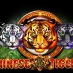 Chinese Tigers