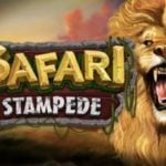 Safari Stampede