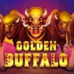 Golden Buffalo