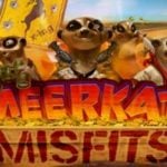 Meerkat Misfits