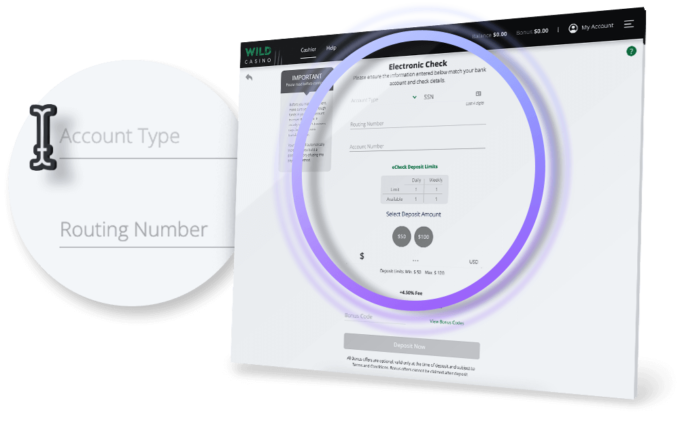 Enter Your eCheck Data