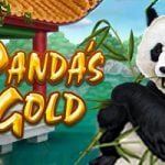 Panda’s Gold