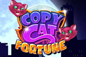 Copy Cat Fortune Slot Game