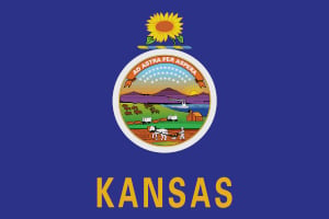 Kansas State Flag