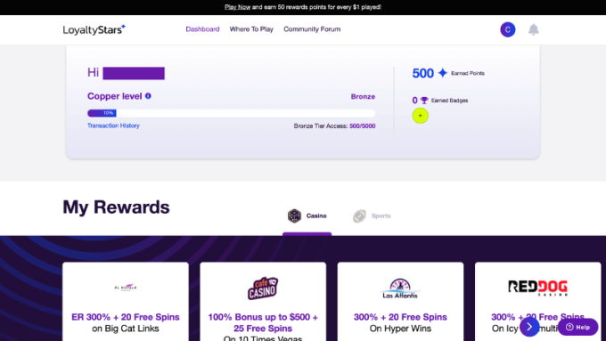 LoyaltyStars Dashboard Screenshot